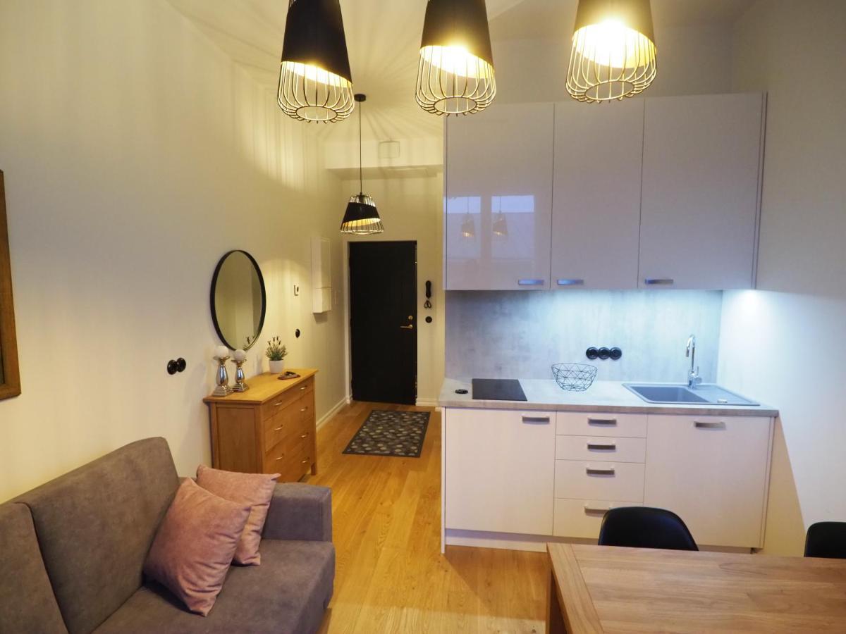 Duoloft Studio Apartment Lovisa Casa With Gym And Terrace ตาร์ตู ภายนอก รูปภาพ